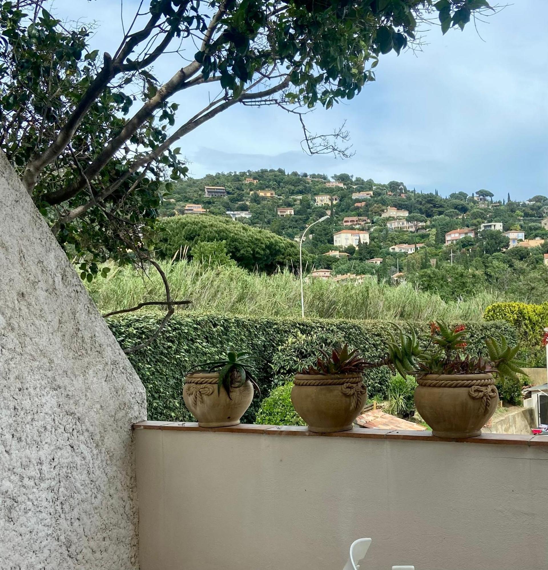 Les Alcyons Hotell Le Lavandou Eksteriør bilde